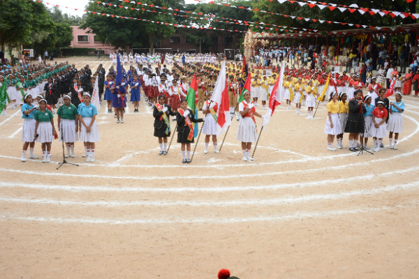 Primary & High School Sports Day